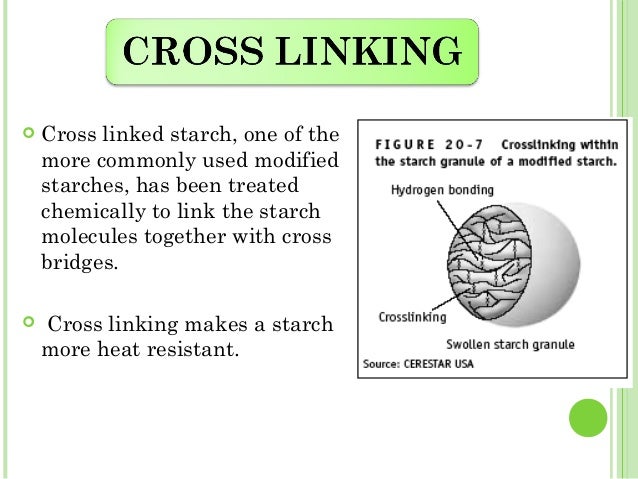 modified starch