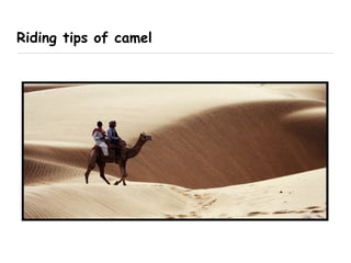 Riding Apache Camel