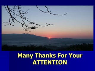 Many Thanks For Your 
ATTENTION 

