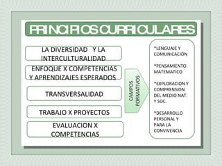 PRINCIPIOS CURRICULARES LA DIVERSIDAD  Y LA INTERCULTURALIDAD ENFOQUE X COMPETENCIAS Y APRENDIZAJES ESPERADOS  TRANSVERSALIDAD EVALUACION X COMPETENCIAS TRABAJO X PROYECTOS *LENGUAJE Y COMUNICACIÓN *PENSAMIENTO MATEMATICO *EXPLORACION Y COMPRENSION DEL MEDIO NAT. Y SOC. *DESARROLLO PERSONAL Y PARA LA CONVIVENCIA 