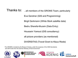Thanks to: ...all members of the GROMS Team, particularly
Eva Gerstner (GIS and Programming)
Birgit Gerkmann (White Stork satellite data)
Bedru Sherefa-Muzein (Data Entry)
Houssein Yamout (GIS consultancy)
all picture providers (as mentioned)
DIVERSITAS (Travel Grant to Klaus Riede)
The GROMS is hosted by the Museum Koenig, under the auspices of the CMS Secretariat,
and with funds from the German Ministry of the Environment
 