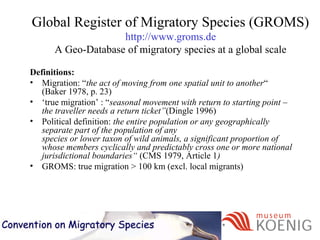 Definitions:
• Migration: “the act of moving from one spatial unit to another“
(Baker 1978, p. 23)
• ‘true migration’ : “seasonal movement with return to starting point –
the traveller needs a return ticket”(Dingle 1996)
• Political definition: the entire population or any geographically
separate part of the population of any
species or lower taxon of wild animals, a significant proportion of
whose members cyclically and predictably cross one or more national
jurisdictional boundaries“ (CMS 1979, Article 1)
• GROMS: true migration > 100 km (excl. local migrants)
CMS
Global Register of Migratory Species (GROMS)
http://www.groms.de
A Geo-Database of migratory species at a global scale
 