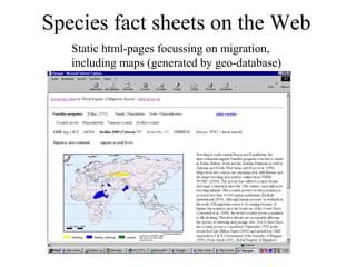 Species fact sheets on the Web
Static html-pages focussing on migration,
including maps (generated by geo-database)
 