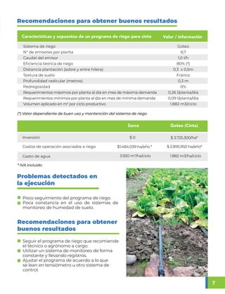 Programa De Riego Riego de hortalizas | PDF