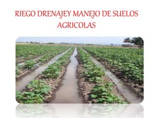 RIEGO DRENAJEY MANEJO DE SUELOS
AGRICOLAS
 