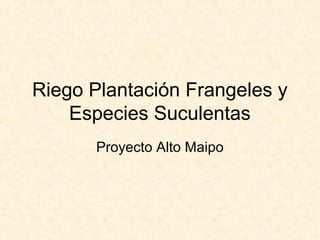 Riego Plantación Frangeles y
    Especies Suculentas
       Proyecto Alto Maipo
 