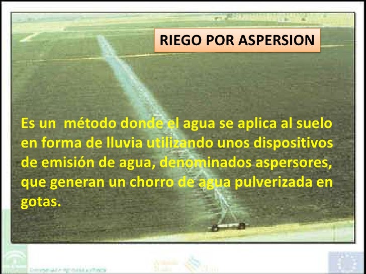 Riego Por Aspersin Ventajas Y Desventajas Cmo Regar El