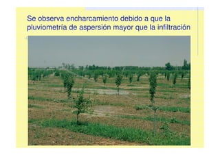 Se observa encharcamiento debido a que la
pluviometría de aspersión mayor que la infiltración
 