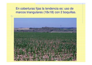 En coberturas fijas la tendencia es: uso de
marcos triangulares (18x18) con 2 boquillas.
 