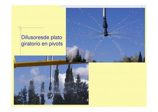 Difusoresde plato
giratorio en pivots
 