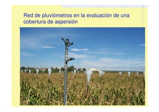 Red de pluviómetros en la evaluación de una
cobertura de aspersión
 