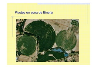 Pivotes en zona de Binefar
 