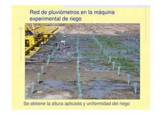 Red de pluviómetros en la máquina
experimental de riego
Se obtiene la altura aplicada y uniformidad del riego
 