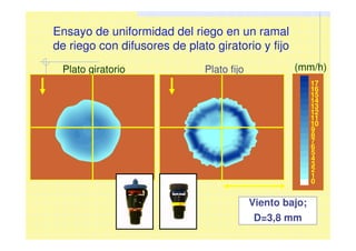 Plato giratorio Plato fijo (mm/h)
0
1
2
3
4
5
6
7
8
9
10
11
12
13
14
15
16
17
Viento bajo;
D=3,8 mm
Ensayo de uniformidad del riego en un ramal
de riego con difusores de plato giratorio y fijo
12
 