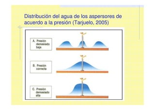 Distribución del agua de los aspersores de
acuerdo a la presión (Tarjuelo, 2005)
 