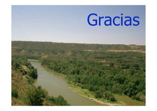 Gracias
 