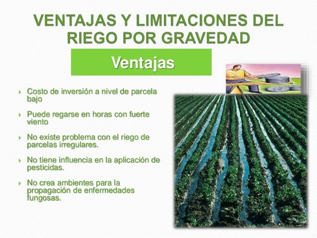 RIEGO POR GRAVEDAD EBOOK RIEGO POR GRAVEDAD EBOOK