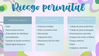 Riesgo perinatal
Condiciones maternas
• Edad
• Nivel socioeconómico
• Antecedente de infertilidad
• Comorbilidades
• Cantidad de líquido amniótico
• Gestorragias tempranas
Condiciones fetales
• Embarazo múltiple
• Pobre crecimiento fetal
• Macrosomía
• Malposición fetal
• Alteraciones del foco fetal
• Acidosis
Condiciones del trabajo de
parto
• Trabajo de parto pretérmino
• Trabajo de parto prolongado
• Presentaciones anómalas
• Prolapso del cordón umbilical
• Choque materno
• Fiebre
• Analgesia y anestesia
 