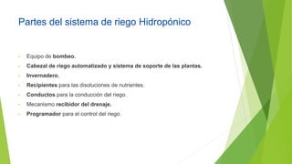 Partes del sistema de riego Hidropónico
• Equipo de bombeo.
• Cabezal de riego automatizado y sistema de soporte de las plantas.
• Invernadero.
• Recipientes para las disoluciones de nutrientes.
• Conductos para la conducción del riego.
• Mecanismo recibidor del drenaje.
• Programador para el control del riego.
 