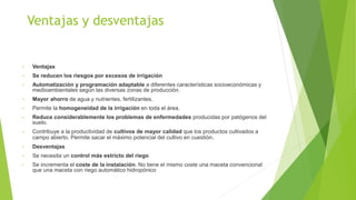 Ventajas y desventajas
• Ventajas
• Se reducen los riesgos por excesos de irrigación
• Automatización y programación adaptable a diferentes características socioeconómicas y
medioambientales según las diversas zonas de producción.
• Mayor ahorro de agua y nutrientes, fertilizantes.
• Permite la homogeneidad de la irrigación en toda el área.
• Reduce considerablemente los problemas de enfermedades producidas por patógenos del
suelo.
• Contribuye a la productividad de cultivos de mayor calidad que los productos cultivados a
campo abierto. Permite sacar el máximo potencial del cultivo en cuestión.
• Desventajas
• Se necesita un control más estricto del riego
• Se incrementa el coste de la instalación. No tiene el mismo coste una maceta convencional
que una maceta con riego automático hidropónico
 