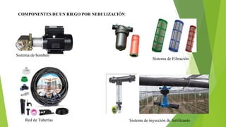 COMPONENTES DE UN RIEGO POR NEBULIZACIÓN:
Sistema de bombeo
Sistema de Filtración
Red de Tuberías Sistema de inyección de fertilizante
 