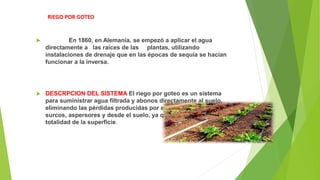 RIEGO POR GOTEO
 En 1860, en Alemania, se empezó a aplicar el agua
directamente a las raíces de las plantas, utilizando
instalaciones de drenaje que en las épocas de sequía se hacían
funcionar a la inversa.
 DESCRPCION DEL SISTEMA El riego por goteo es un sistema
para suministrar agua filtrada y abonos directamente al suelo,
eliminando las pérdidas producidas por evaporación en canales,
surcos, aspersores y desde el suelo, ya que no se moja la
totalidad de la superficie.
 