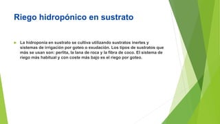 Riego hidropónico en sustrato
 La hidroponía en sustrato se cultiva utilizando sustratos inertes y
sistemas de irrigación por goteo o exudación. Los tipos de sustratos que
más se usan son: perlita, la lana de roca y la fibra de coco. El sistema de
riego más habitual y con coste más bajo es el riego por goteo.
 
