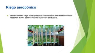 Riego aeropónico
 Este sistema de riego es muy efectivo en cultivos de alta rentabilidad que
necesitan mucho control durante el proceso productivo.
 