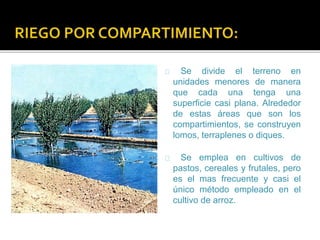 Se divide el terreno en 
unidades menores de manera 
que cada una tenga una 
superficie casi plana. Alrededor 
de estas áreas que son los 
compartimientos, se construyen 
lomos, terraplenes o diques. 
Se emplea en cultivos de 
pastos, cereales y frutales, pero 
es el mas frecuente y casi el 
único método empleado en el 
cultivo de arroz. 
 