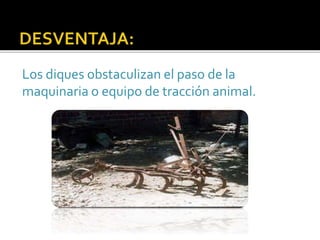 Los diques obstaculizan el paso de la 
maquinaria o equipo de tracción animal. 
 
