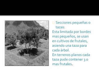 Secciones pequeñas o 
tazas: 
Esta limitada por bordes 
mas pequeños, se usan 
en cultivos de frutales, 
asiendo una taza para 
cada árbol. 
En terrenos planos cada 
taza pude contener 3 o 
mas frutales. 
 