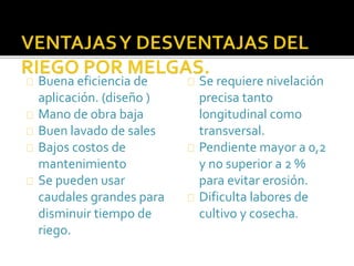 Buena eficiencia de 
aplicación. (diseño ) 
Mano de obra baja 
Buen lavado de sales 
Bajos costos de 
mantenimiento 
Se pueden usar 
caudales grandes para 
disminuir tiempo de 
riego. 
Se requiere nivelación 
precisa tanto 
longitudinal como 
transversal. 
Pendiente mayor a 0,2 
y no superior a 2 % 
para evitar erosión. 
Dificulta labores de 
cultivo y cosecha. 
 