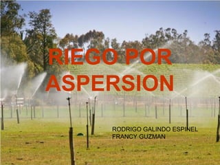 RIEGO POR
ASPERSION
    RODRIGO GALINDO ESPINEL
    FRANCY GUZMAN
 