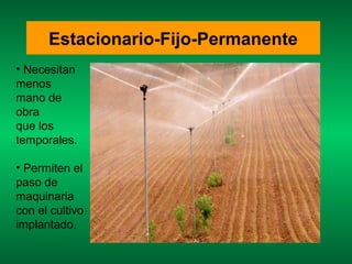 Estacionario-Fijo-Permanente
• Necesitan
menos
mano de
obra
que los
temporales.

• Permiten el
paso de
maquinaria
con el cultivo
implantado.
 