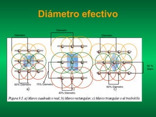 Diámetro efectivo
                              Diámetro
Diámetro                                      Diámetro




                                                                60 %
                                                                Diam.




60% Diámetro   75% Diámetro
                                                 60% Diámetro

                               40% Diámetro
 