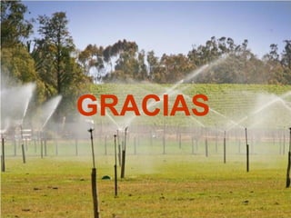 GRACIAS
 