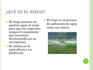 ¿QUÉ ES EL RIEGO?

                              El riego es el proceso
 El riego consiste en
  aportar agua al suelo        de aplicación de agua
  para que los vegetales       sobre un cultivo.
  tengan el suministro
  que necesitan
  favoreciendo así su
  crecimiento.
 Se utiliza en la
  agricultura y en
  jardinería.
 