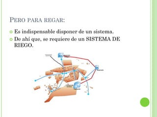 PERO PARA REGAR:
 Es indispensable disponer de un sistema.
 De ahí que, se requiere de un SISTEMA DE
  RIEGO.
 