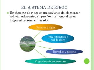 EL SISTEMA DE RIEGO
   Un sistema de riego es un conjunto de elementos
    relacionados entre si que facilitan que el agua
    llegue al terreno cultivado:

                     Fuentes y agua


                              Infraestructura y
                                 red de riego



                                  Derechos y reparto


                     Organización de usuarios
 