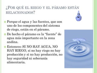 ¿POR QUÉ EL RIEGO Y EL PÁRAMO ESTÁN
 RELACIONADOS?

 Porque el agua y las fuentes, que son
  uno de los componentes del sistema
  de riego, están en el páramo.
 De hecho el páramo es la “fuente” de
  agua más importante en la zona
  andina.
 Entonces: SI NO HAY AGUA, NO
  HAY RIEGO, si no hay riego no hay
  producción y si no hay producción, no
  hay seguridad ni soberanía
  alimentaria.
 