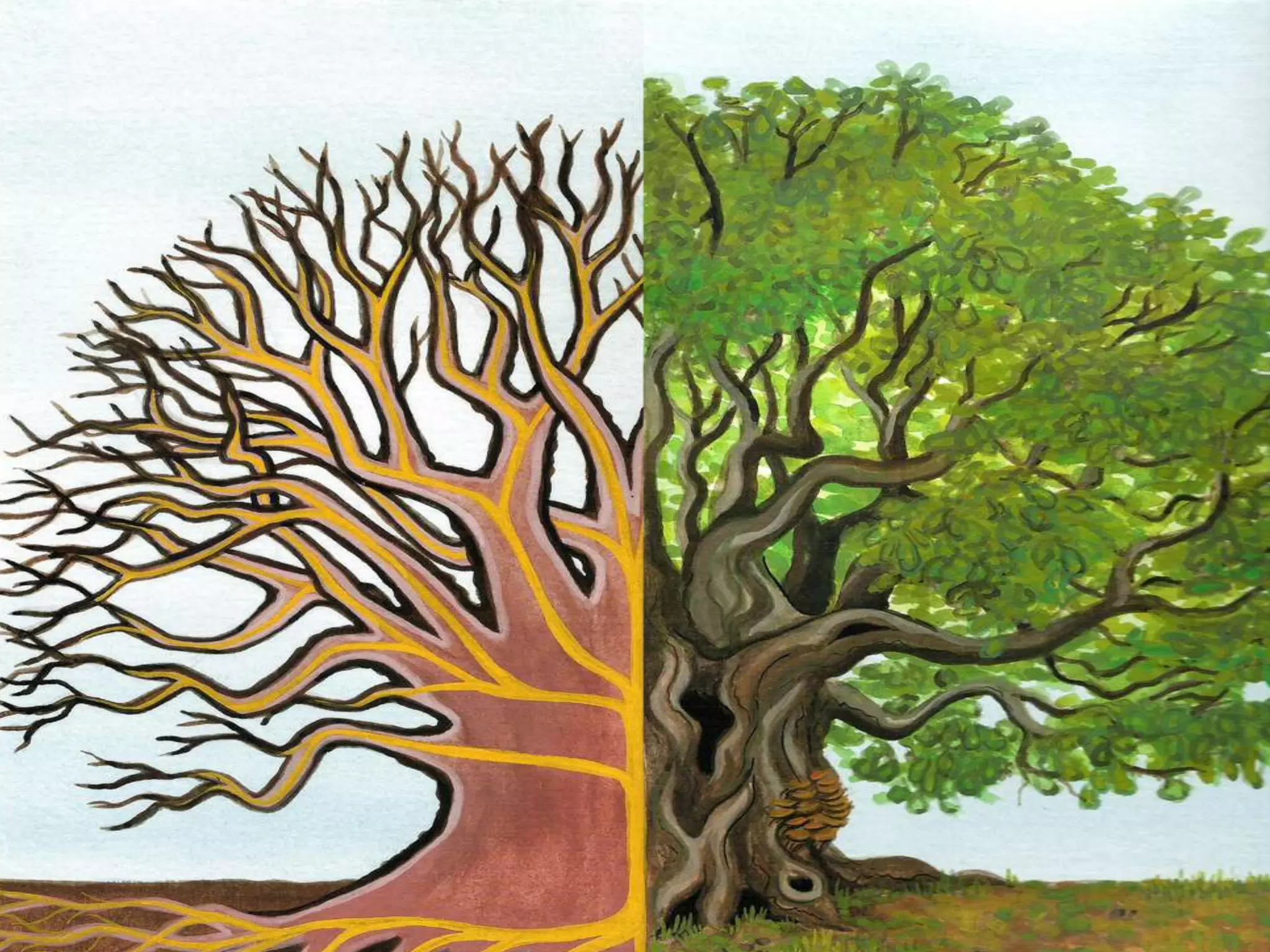 It changes the conditions of change.Then what? If we accept this ontological starting point – how to make it practical? Take an anticipatory systems perspective that encompasses both animate and inanimate anticipation.Distinguish the three ontological dimensions of the potential of the present – three ways of imagining the future and the different methods that are related to each (ontology-epistemology linked).Learning processes that use collective intelligence – action research, reframing, and narrative capacity to question anticipatory assumptions – embracing complexity, spontaneity, improvisation.