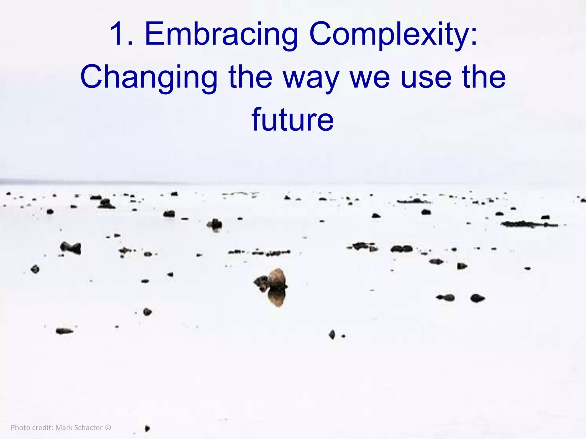 1. Embracing Complexity: Changing the way we use the futurePhoto credit: Mark Schacter ©