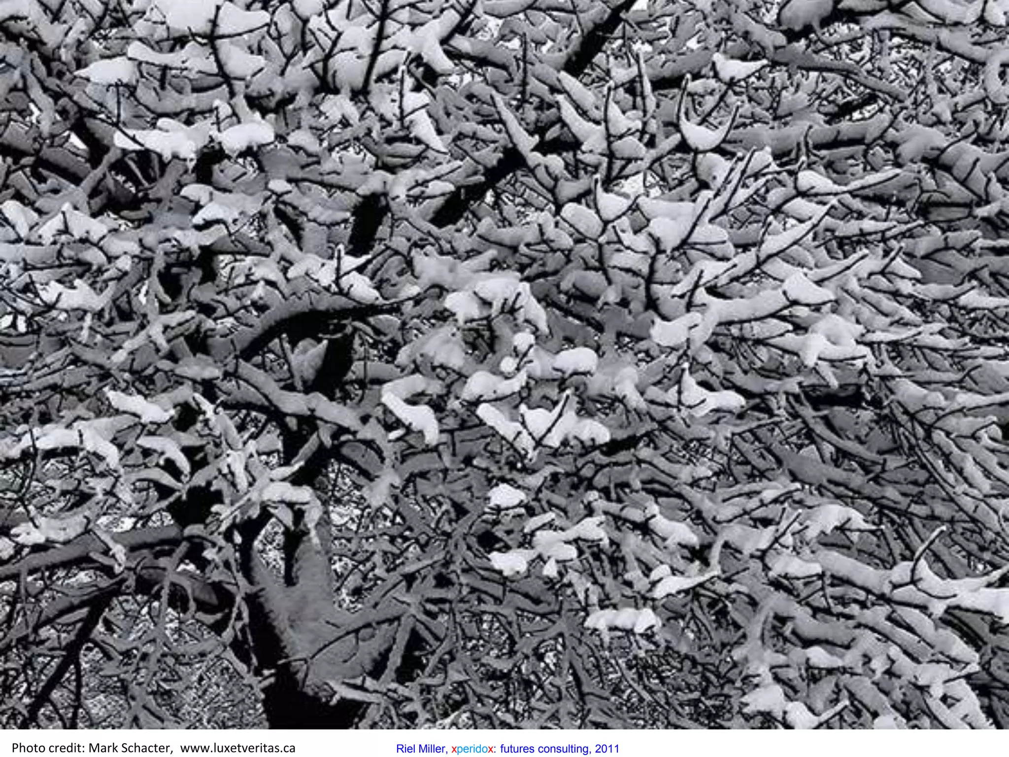 2. The Learning Intensive Society Scenario – A Level 2 ModelSocietyTechnologyEconomyGovernanceScale of the change:Incremental radicalism transforms everyday life