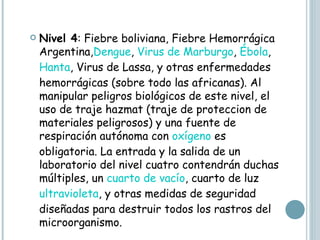 Nivel 4 : Fiebre boliviana, Fiebre Hemorrágica Argentina, Dengue ,  Virus de Marburgo ,  Ébola ,  Hanta , Virus de Lassa, y otras enfermedades hemorrágicas (sobre todo las africanas). Al manipular peligros biológicos de este nivel, el uso de traje hazmat (traje de proteccion de materiales peligrosos) y una fuente de respiración autónoma con  oxígeno  es obligatoria. La entrada y la salida de un laboratorio del nivel cuatro contendrán duchas múltiples, un  cuarto de vacío , cuarto de luz  ultravioleta , y otras medidas de seguridad diseñadas para destruir todos los rastros del microorganismo.  