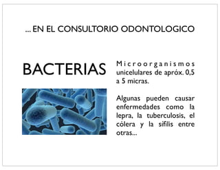 ... EN EL CONSULTORIO ODONTOLOGICO


                  Microorganismos
BACTERIAS         unicelulares de apróx. 0,5
                  a 5 micras.

                  Algunas pueden causar
                  enfermedades como la
                  lepra, la tuberculosis, el
                  cólera y la síﬁlis entre
                  otras...
 