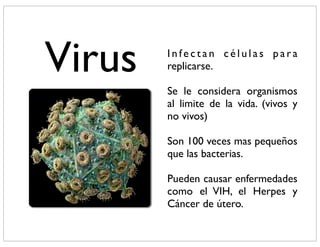 Virus   Infectan células para
        replicarse.

        Se le considera organismos
        al limite de la vida. (vivos y
        no vivos)

        Son 100 veces mas pequeños
        que las bacterias.

        Pueden causar enfermedades
        como el VIH, el Herpes y
        Cáncer de útero.
 