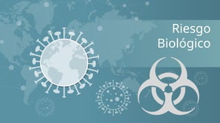 Comprehensive Overview of Biological Risks and COVID-19 Safety Measures ...