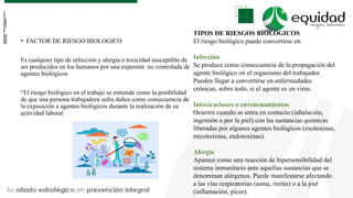 Comprehensive Guide to Biological Risk Identification and Prevention in ...