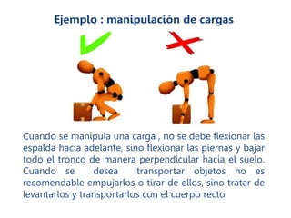 Ejemplo : manipulación de cargas
Cuando se manipula una carga , no se debe flexionar las
espalda hacia adelante, sino flexionar las piernas y bajar
todo el tronco de manera perpendicular hacia el suelo.
Cuando se desea transportar objetos no es
recomendable empujarlos o tirar de ellos, sino tratar de
levantarlos y transportarlos con el cuerpo recto
 