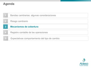 Agenda


1   Bandas cambiarias: algunas consideraciones

2   Riesgo cambiario

3   Mecanismos de cobertura

4   Registro contable de las operaciones

5   Expectativas comportamiento del tipo de cambio
 